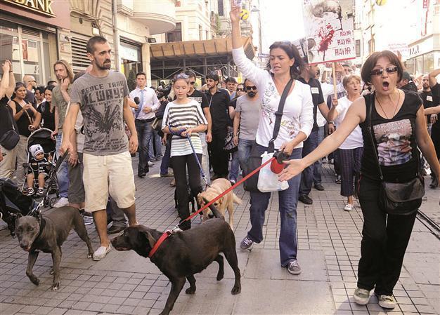 Ministry defends animal protection law after protests