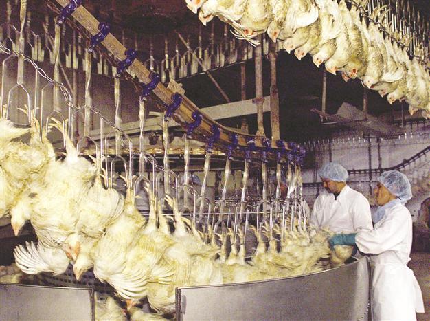 China’s halal food firm eyes local partnership
