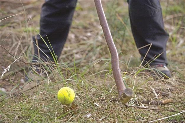 Czech forest golfers make an extreme sport of game
