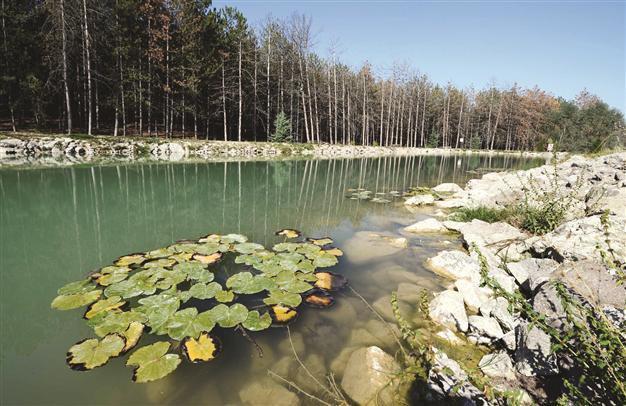 Safari tours lure nature enthusiasts to Hacettepe
