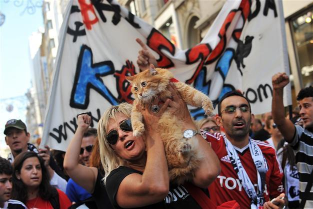 Thousands protest Turkey bill on stray animals