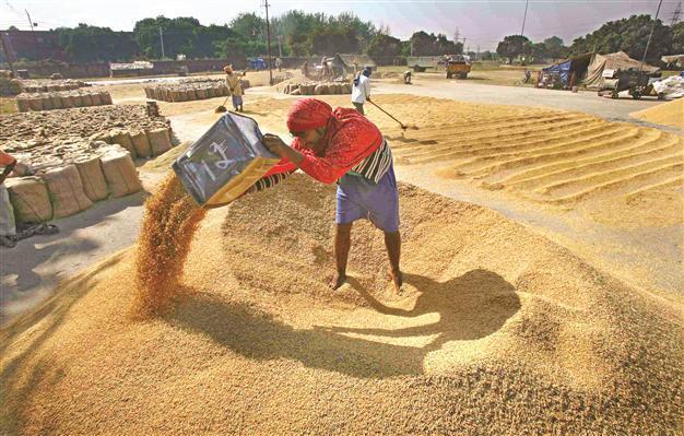Importers fear ‘grain monopolies’