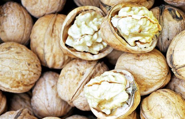 Turkey ranks third in nuts production