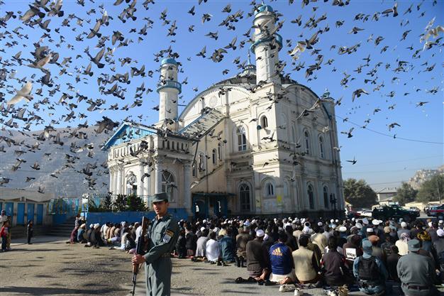 Suicide bombing kills 41 at Afghan mosque: official