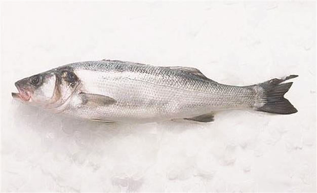 Turkey’s exports of fish to US up 88 pct
