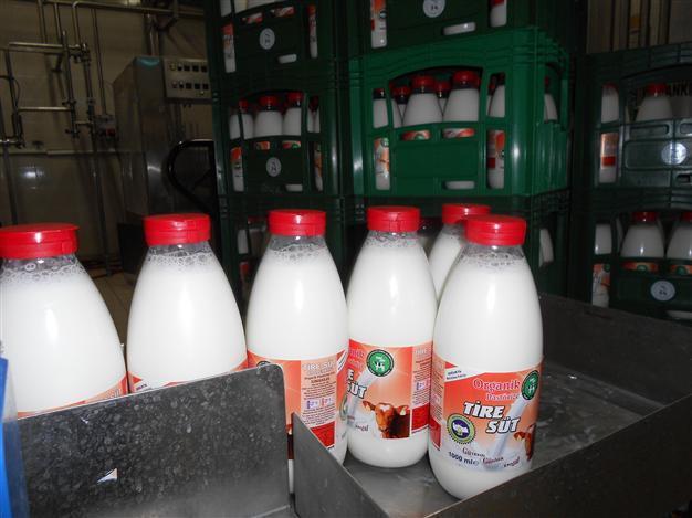 Turkeys Changemakers: Milk cooperative makes a difference in the lives of people in Tire