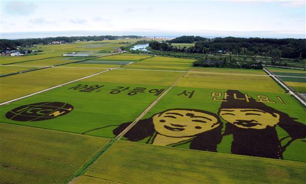South Korea lifts temporary ban on US rice