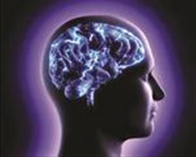Scientists find origin of brain’s intelligence