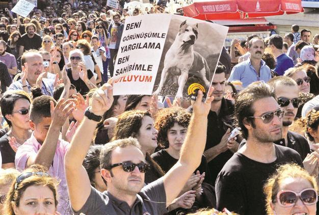 Activists set to hit the streets again for animals