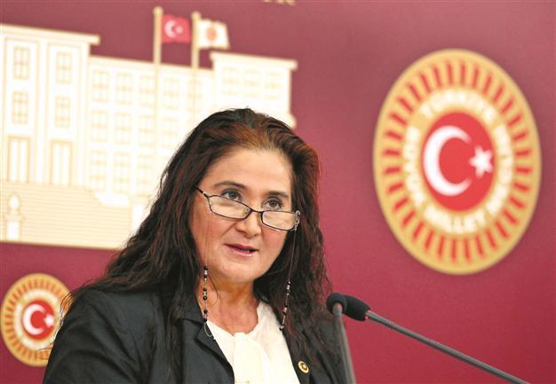 Alevis lack freedom of worship, MP says