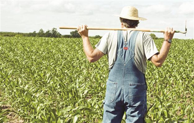Farm aid to hike 16.9 pct next year