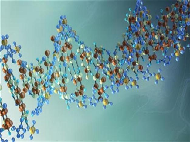 Spain to conduct DNA testing on immigrants to stop illegal human trafficking