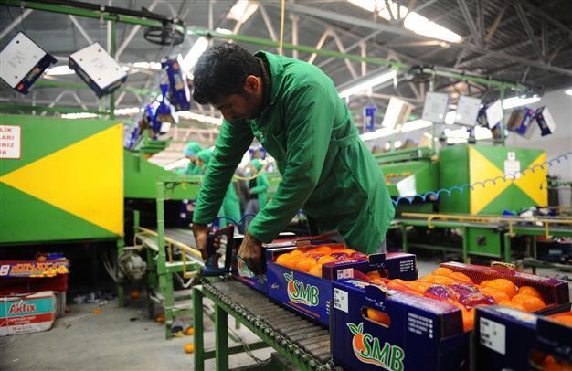 Turkey’s exports rise 24.8 pct in November