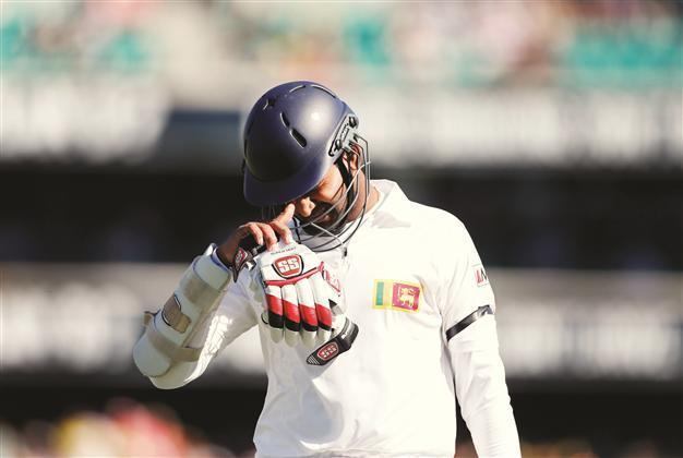Tamils call Australia to boycott cricket match against Sri Lanka