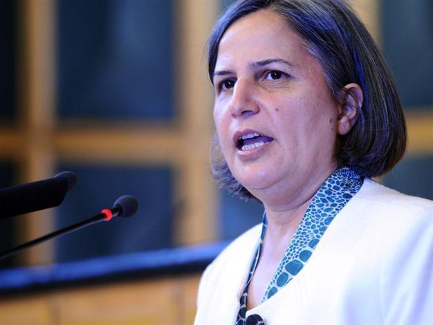 Turkish government responsible for Paris killings, BDP head says