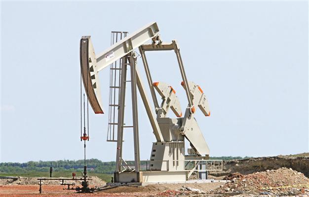 Turkmen state ready for sell off but wants control of fuel