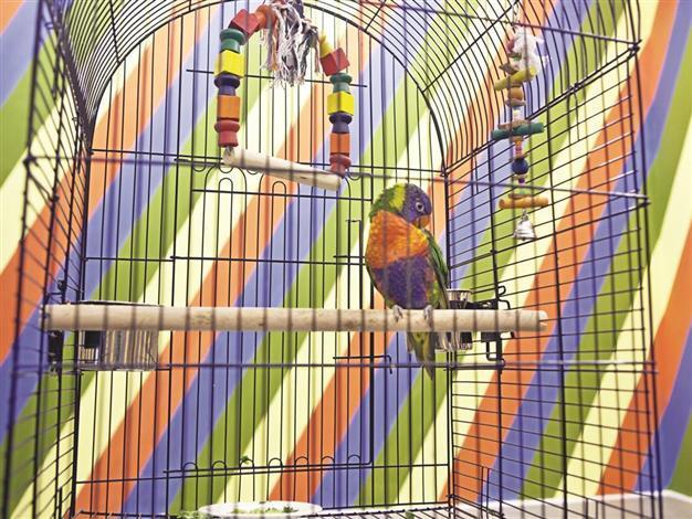 Artist examines himself as subject in his solo exhibition