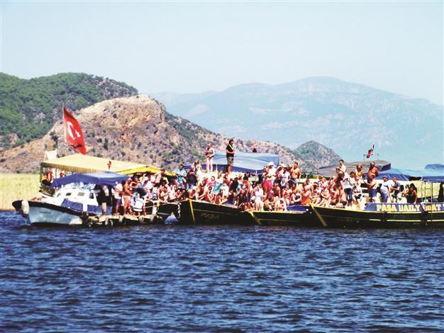 Foundation aims to protect turtles in Dalyan with a petition campaign