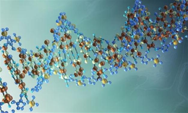 DNA compositions to be stored for health
