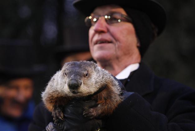 Weather-predicting groundhog sees early spring