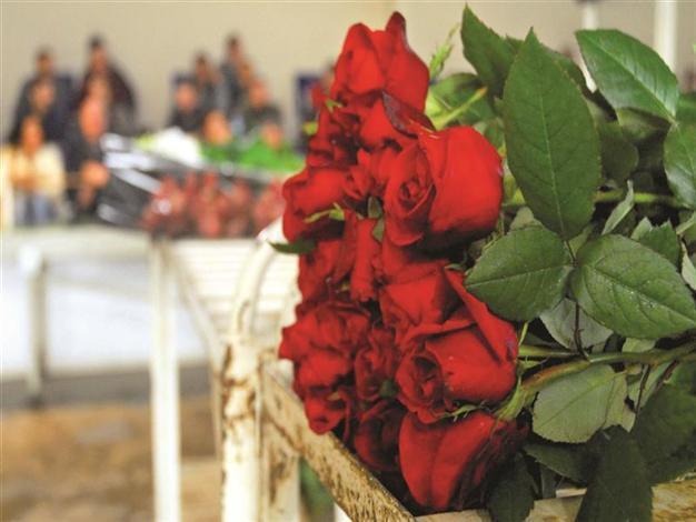 Cheap gifts preferred on Valentine’s day