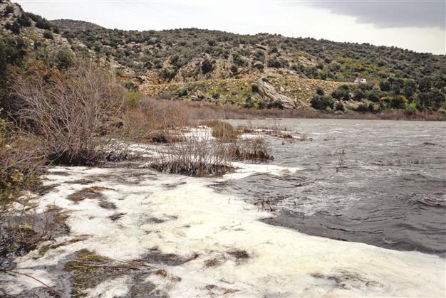 Aegean lake Bafa faces ecological catastrophe due to industrial waste