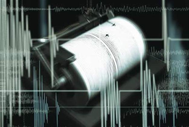 4.5 magnitude earthquake hits near Istanbul