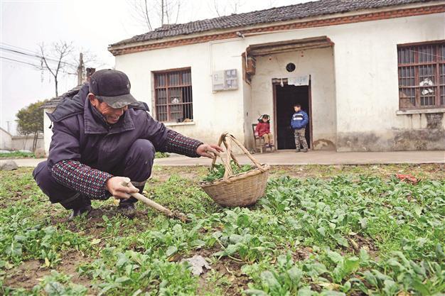 Chinese gov’t ‘earns $5 tln’ from land