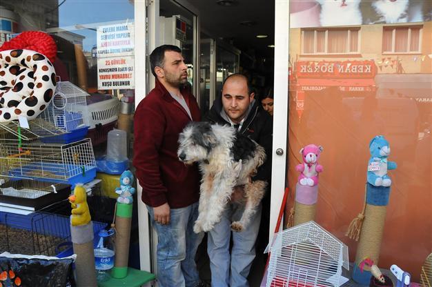 Ban on sales of pets in Istanbul pet shops