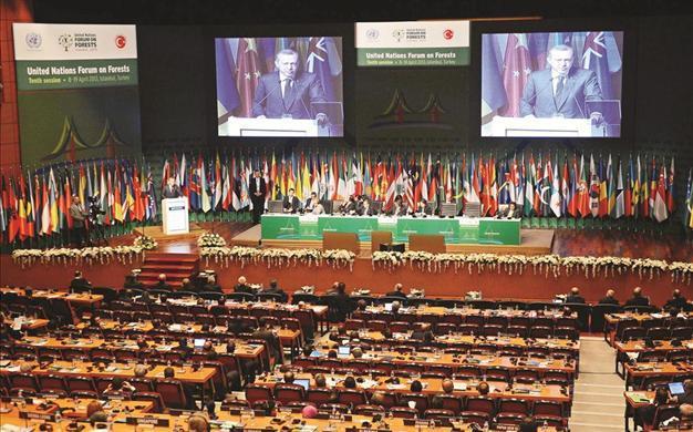 Turkish PM Erdoğan issues green warning at UN forest meet