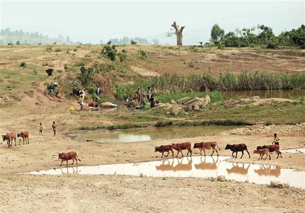 Ethiopia picks green energy for sustainable growth plan