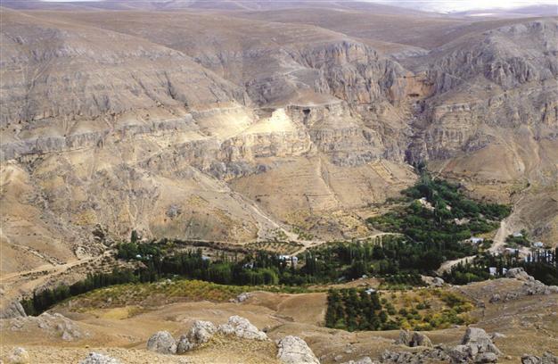 Action plan for erosion control and forestation