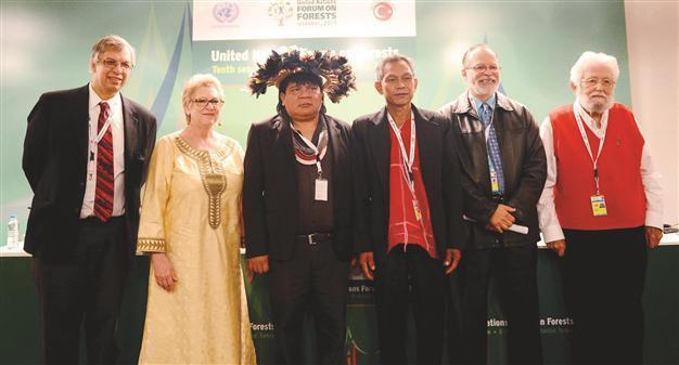 UN awards ‘Forest Heroes’ in Istanbul