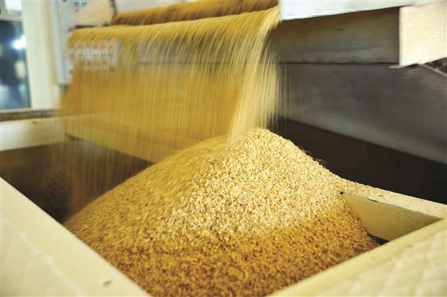 Biosecurity Board suspends entry of 26 GMOs to Turkey