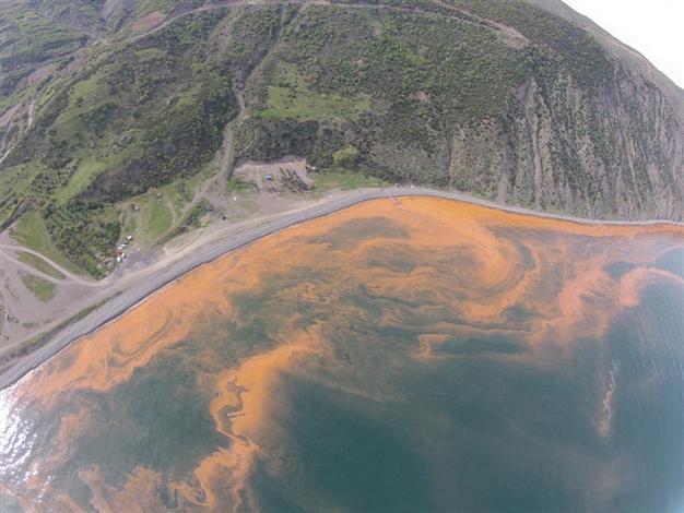 Red tides spotted on Marmara Sea, near Istanbul shores