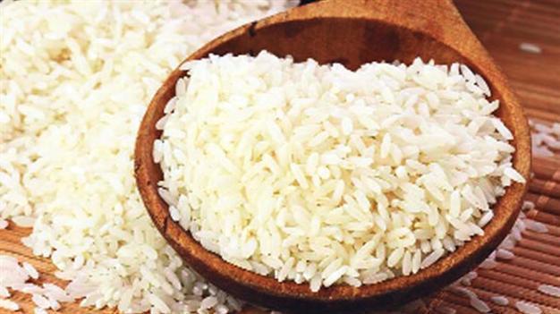Test on GMO rice inadequate and ‘technically invalid,’ university says