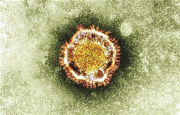 New SARS-like virus can pass person-to-person, says WHO