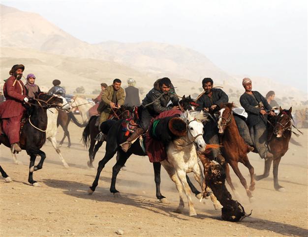 Afghan suicide bomb kills six at buzkashi game: police