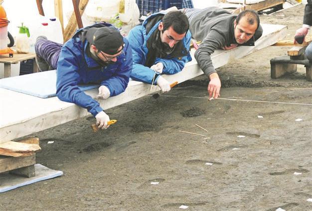 ‘Heavy equipment’ used at Neolithic site