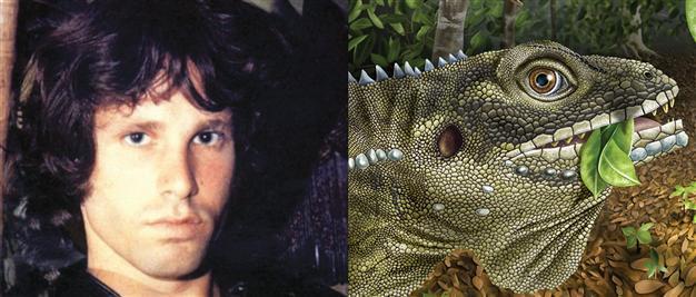 Giant reptile named after Jim Morrison