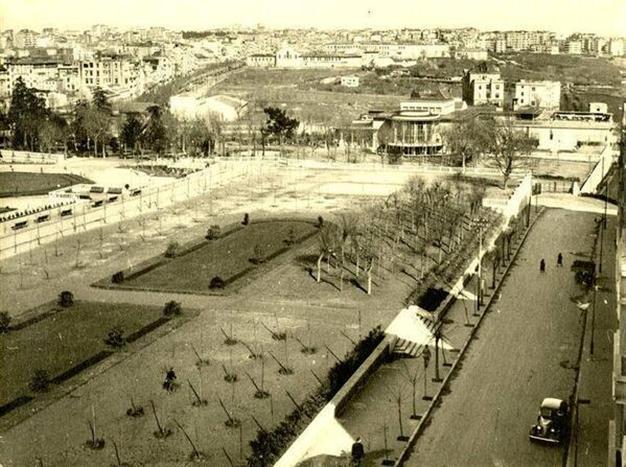 Trees that a whole country is fighting to preserve planted 70 years ago