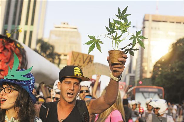 Brazilians march for ‘legalizing marijuana’