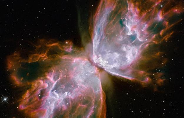 NASA enlists public in hunt for asteroids