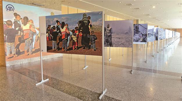 Tragedy in Syria on view in exhibition
