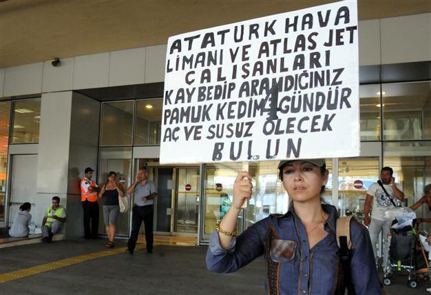 Cat lost at Atatürk airport cause protest