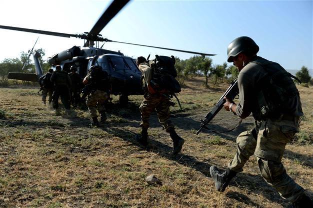 15 million cannabis plants destroyed in new wave of narcotics operations