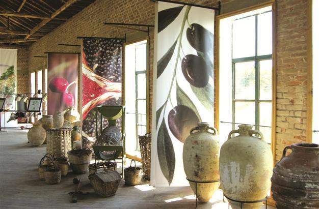 Museum whets appetite of locals, visitors in northwest