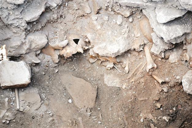 Mass grave found in the ancient city of Pisidia Antiocheia