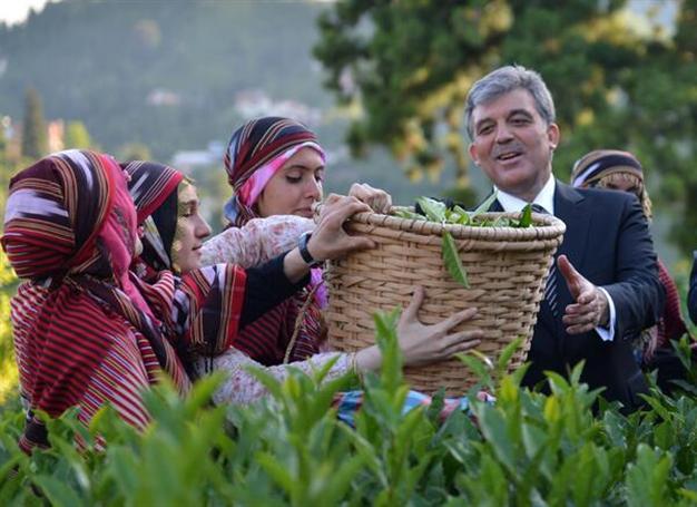 President Gül calls on Gezi protesters to go home