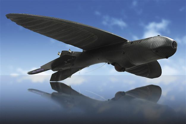 Iran to teach drone-hunting to school students